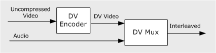 dv 编码器和 dv 复用器