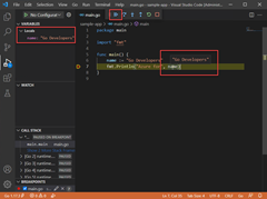 顯示在 VS Code 中執行調試程式的螢幕快照。