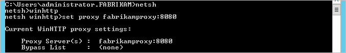 螢幕擷取畫面顯示執行 netsh 工具以設定 Proxy 的命令提示字元視窗。