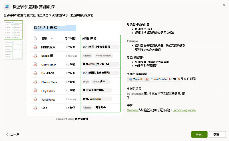 [敏感性資訊處理： 詳細數據] 頁面的螢幕快照。