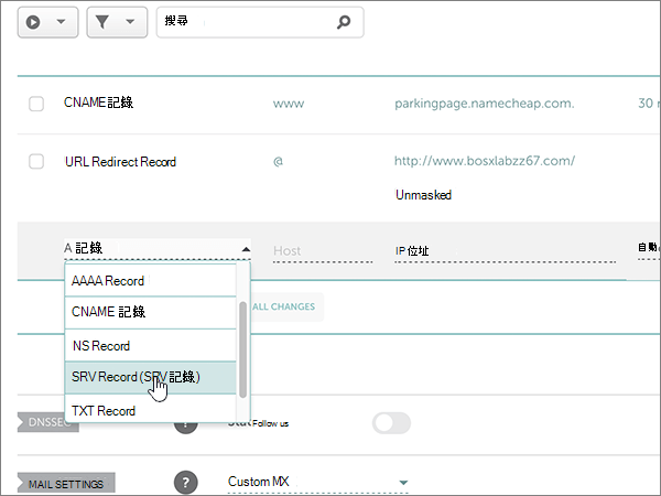 選取 [SRV 記錄] 類型。