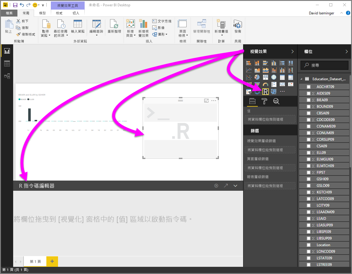 Screenshot of the Visualization pane, showing a blank R visual.