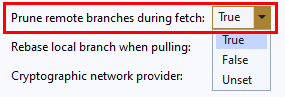 Screenshot of the **Prune remote branches during fetch** setting in Global Settings in Team Explorer in Visual Studio 2019.