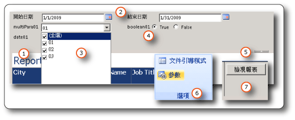 報表檢視器工具列上的參數