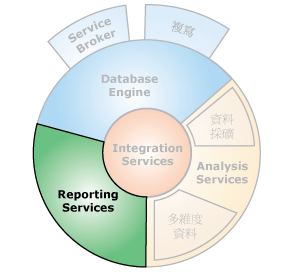 具有 Reporting Services 的元件介面