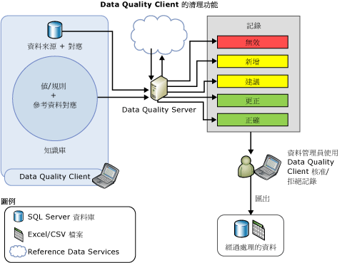 Data Quality Client 中的資料清理