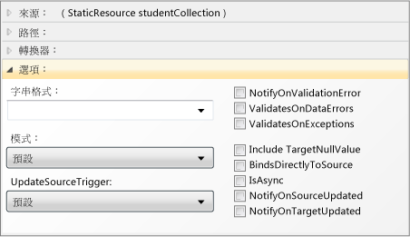 資料繫結產生器的選項窗格