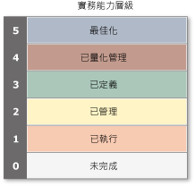 CMMI 持續性表示