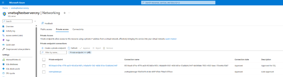 SQL Server 私人存取索引標籤的 [網络] 頁面螢幕快照，其中顯示要求已核准。