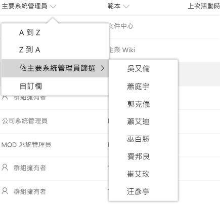 主要系統管理員資料行的篩選選項