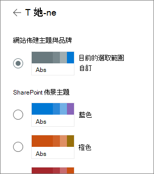 網站主題選項的影像