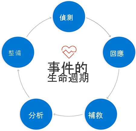 Cycle diagram of circles labeled with phases from above. Circles are connected to next circle with arrows from phase to phase.