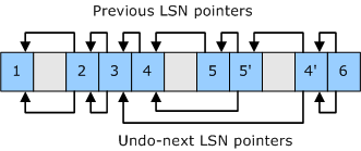 說明先前 lsn 和 undo-next lsn 指標的圖表。