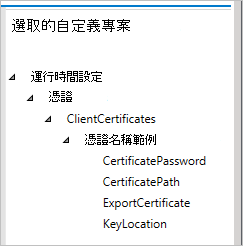 在 Windows 設定設計工具中，選取的 [自定義] 窗格會顯示您的設定。